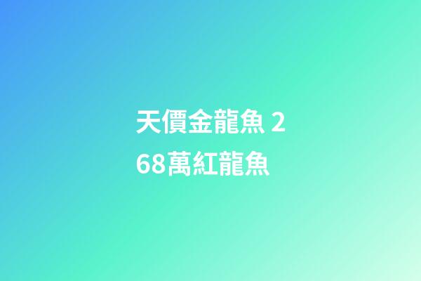 天價金龍魚 268萬紅龍魚